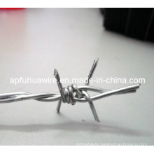 Double Strand Common Twisted Barbed Wire